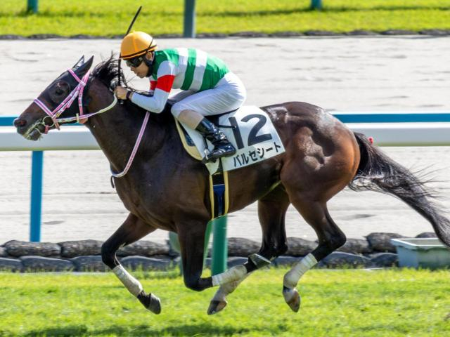 【シンザン記念】半姉は2歳女王のレシステンシア バルセシートが逆襲の重賞初制覇なるか