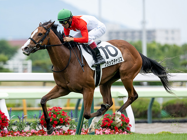 【フェアリーS】ブラックチャリス、ギリーズボールらが登録