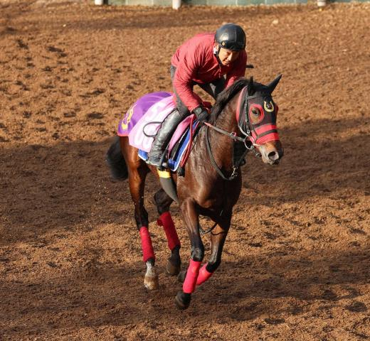 【シンザン記念】ファニーバニー　杉山佳師が能力評価　マイル未経験も母カゼルタ芝2000メートルで4勝