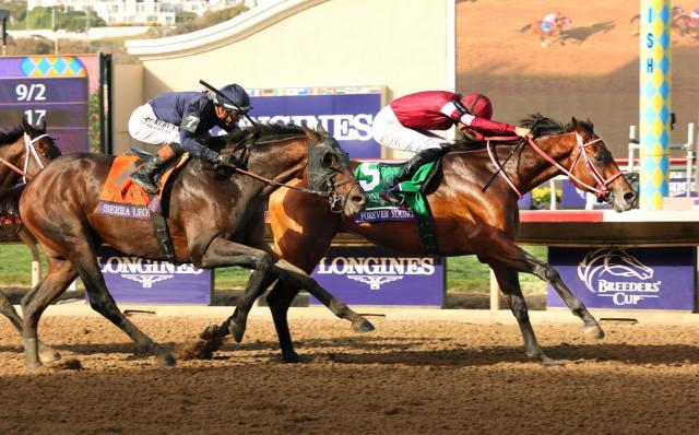 【JRA賞】ベストJRA・G1賞の創設を期待　迷わずフォーエバーヤングに投票も日本でのG1も好レースずらり