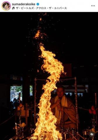 「これは凄い瞬間」「神馬じゃ」ウマ年を象徴する奇跡の1枚が大反響!須磨寺の副住職がSNSに投稿