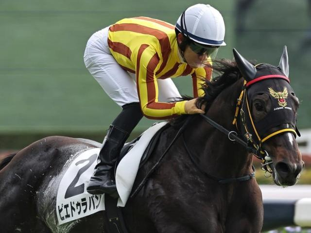 【フェアリーS】舞台は母が重賞Vの中山芝マイル ピエドゥラパンが重賞初制覇なるか