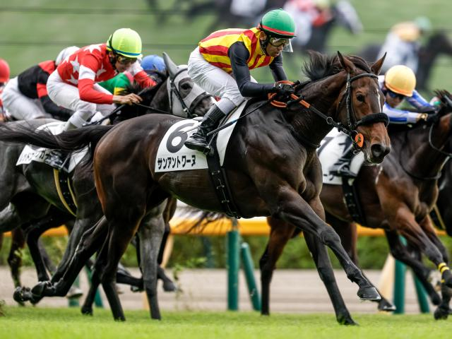 【フェアリーS予想オッズ】サンアントワーヌが予想1番人気