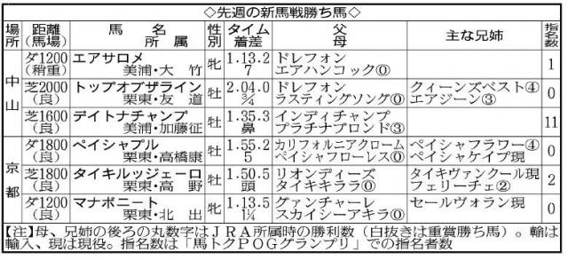 【POG】直線の脚は見せ場十分もサレジオはジュニアC2着　次こそは確実に結果を出して欲しい