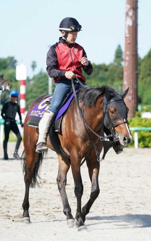 22年NHKマイルC覇者ダノンスコーピオンが引退…南アフリカで種牡馬入り