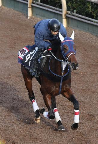 【シンザン記念】クールデイトナ　連勝狙う　重賞も能力発揮　吉村「王道の競馬ができる」