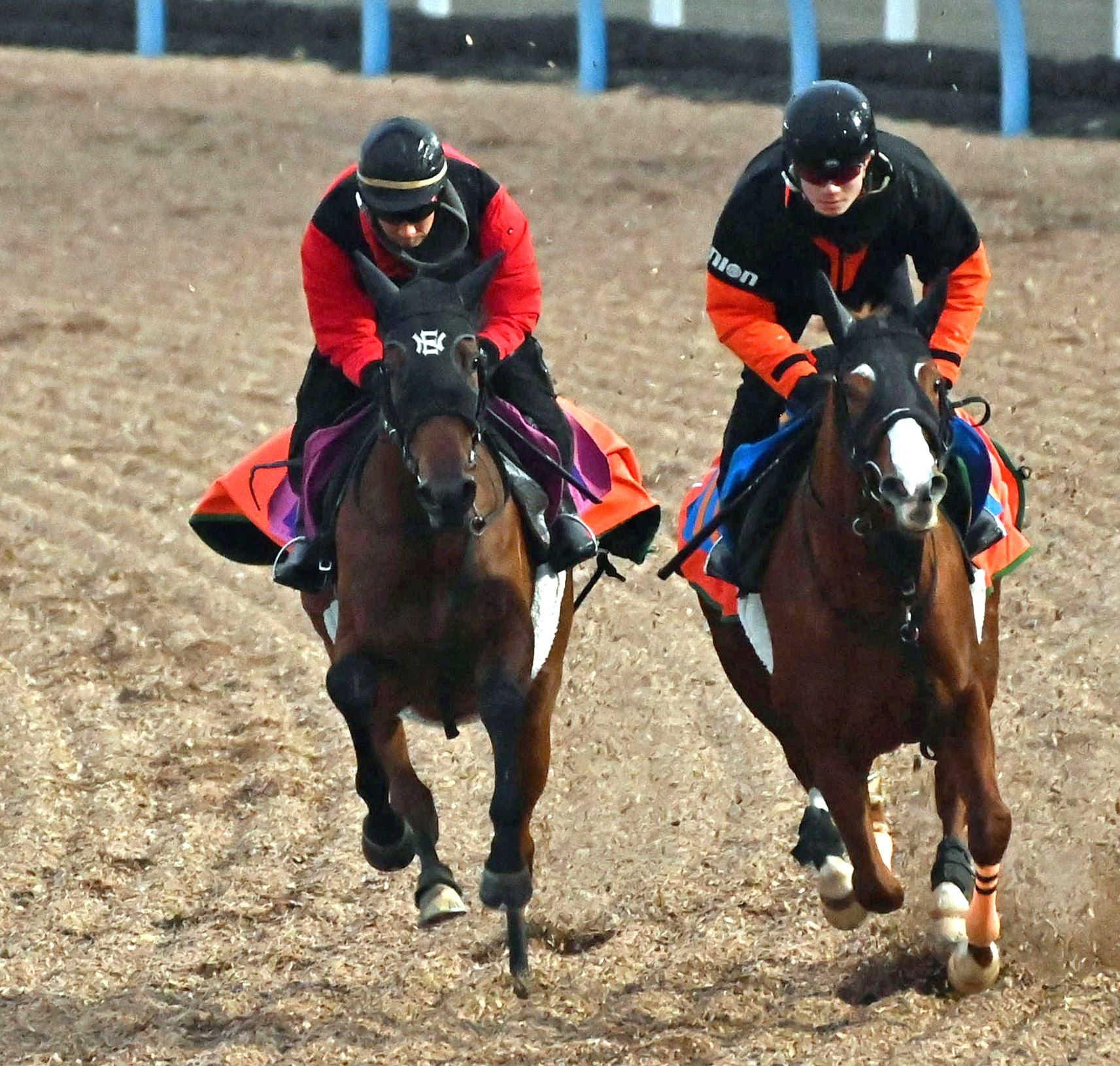 【フェアリーＳ】ノーザンタイタン　美浦Ｗで古馬相手に手応え抜群　半兄は京都金杯Ｖブエナオンダ、兄妹２週連続重賞勝利だ