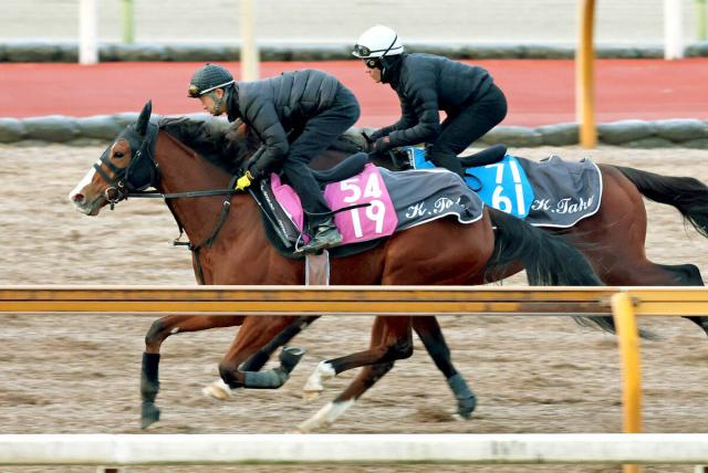 【フェアリーS】重賞実績あるブラックチャリスは軽快な伸び　武幸調教師「以前よりリラックス。いい傾向なのかな」