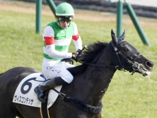 【フェアリーS】半兄はドゥラエレーデ ヴィスコンテッサが重賞初制覇を狙う