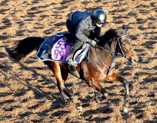 【フェアリーS】トワニは馬なりで古馬に併入　菅原明良騎手「状態悪くない。ここまで順調にこれていると思います」