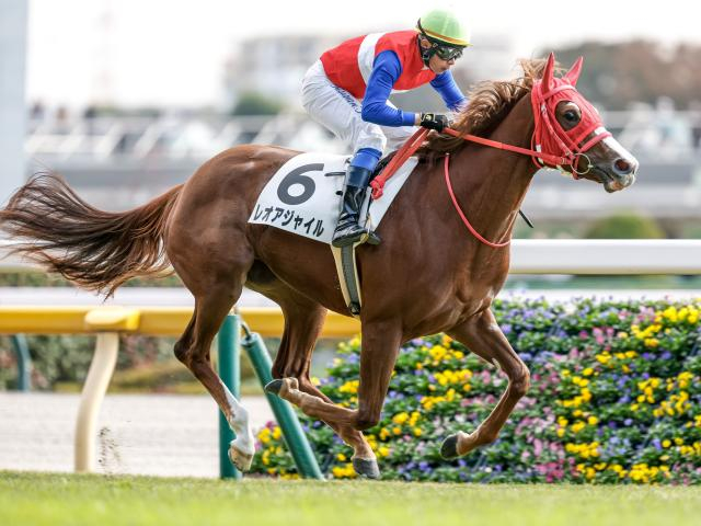 【フェアリーS予想】荒ぶるレースのターゲットタイプとは？ 過去データで探るGIIIフェアリーS