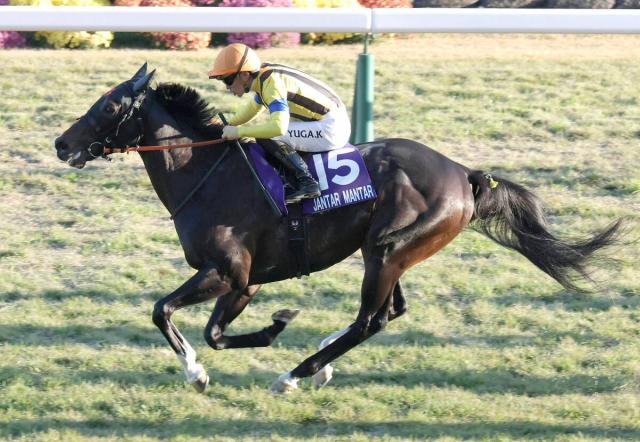 【注目馬動向】ジャンタルマンタルはドバイ・ターフを目指す　マイル以外の距離なら皐月賞3着以来、約2年ぶり4度目