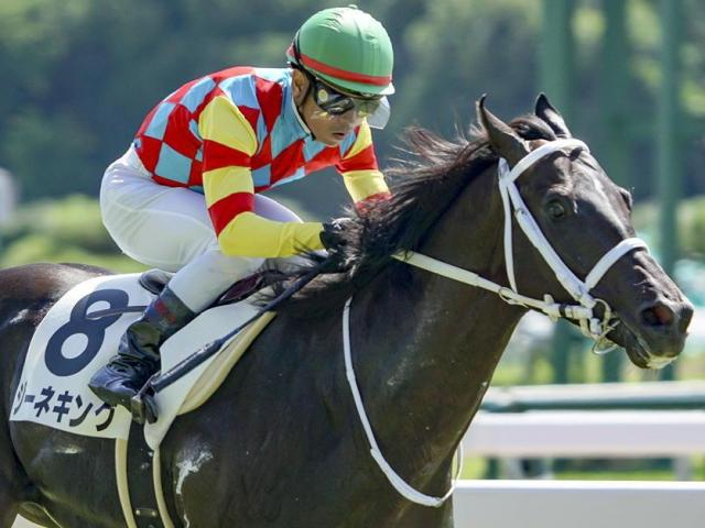 【京成杯】コントレイル産駒がJRA重賞初制覇なるか 札幌2歳S2着のジーネキングが参戦