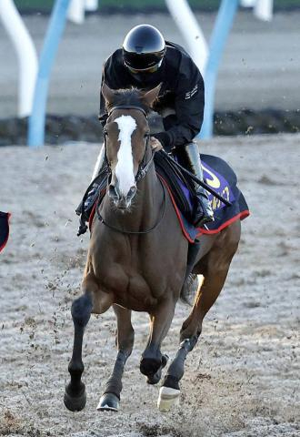 【注目馬動向】24年牝馬2冠チェルヴィニアは中山記念で始動予定　初めての中山で再起を目指す