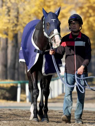 【注目馬動向】天皇賞・秋を制したマスカレードボールがドバイ2競走に予備登録　次走は大阪杯を含めて検討