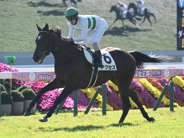 【週末情報】アクセス抜群の動き/馬三郎のつぶやき