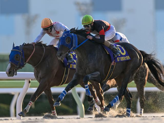 地方年度代表馬は東京大賞典Vのディクテオン NARグランプリの表彰人馬が発表