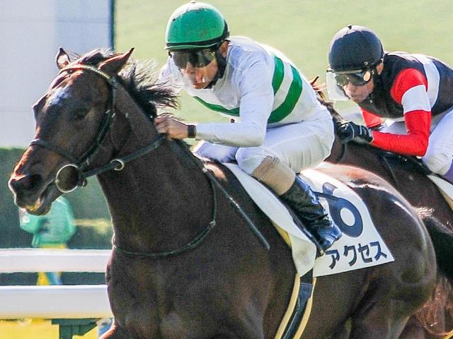 【京成杯】キセキ産駒がJRA重賞初挑戦初制覇なるか アクセスが無敗戴冠狙う