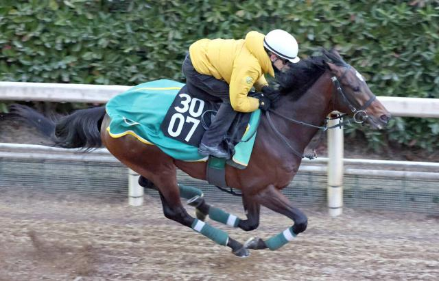 【京成杯】自らまたがった上村調教師は好時計に「それだけ出来がいいということ」と納得　アクセスが坂路で絶好の追い切り
