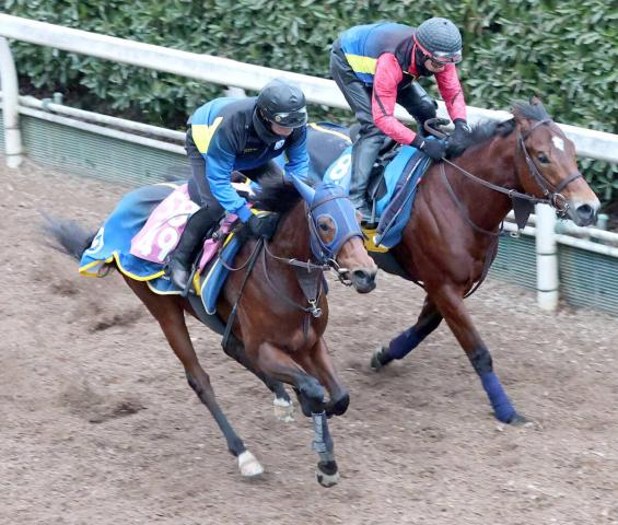 【紅梅S】テイエムスティールがクラシックへ向け連勝を狙う　高橋一調教師「結果次第では桜花賞も目指したいです」