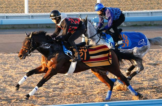 【京成杯】アッカン、伸び伸び1馬身先着　奥村武師「予定通り軽快」