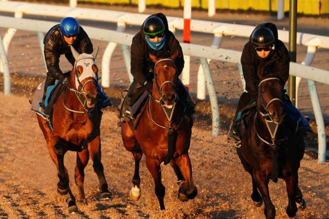 【京成杯】矢嶋師攻めた!ポルフュロゲネトス手応え抜群、3頭併せラスト1F11秒8