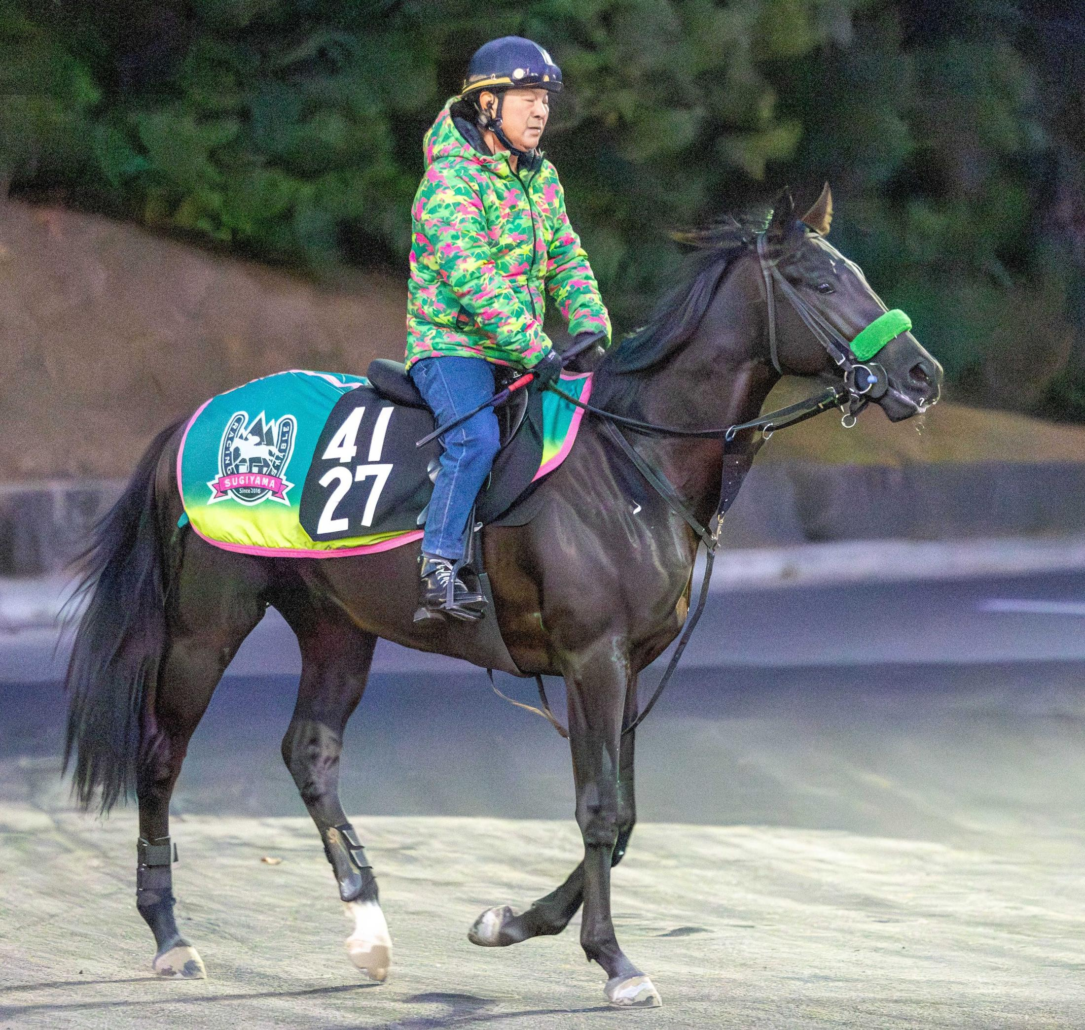 【新馬戦】ロードスタニング　杉山晴厩舎から注目の大器、父はコントレイル　ゲルチュタールと併入など互角以上
