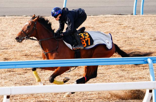 【京成杯】追ってひと言
