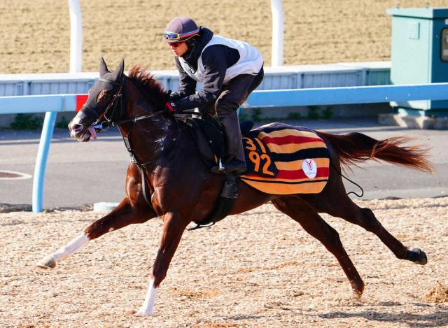 【京成杯】グリーンエナジー、リラックス重視　初コース克服に期待