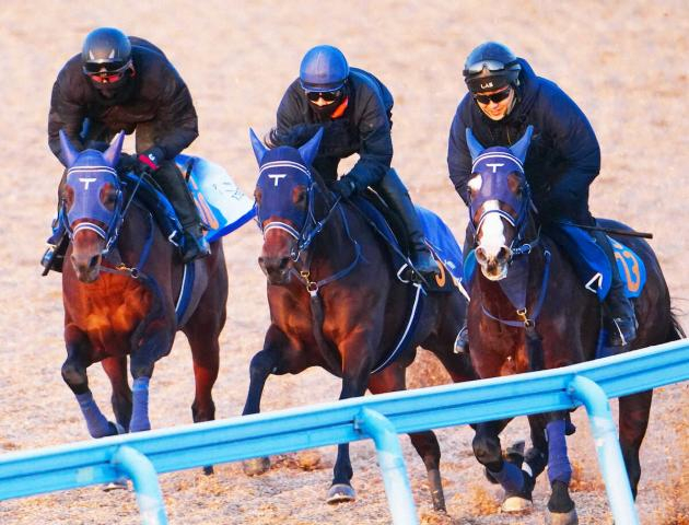 【京成杯】良血ソラネルマン、軽快脚さばき　手塚久師も手応え「いい雰囲気」