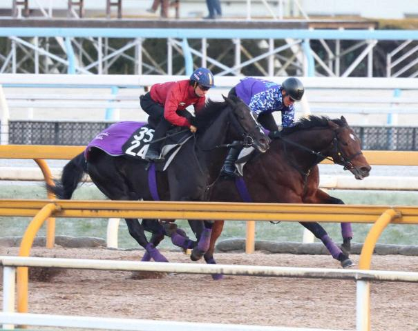 【日経新春杯】サトノグランツ　11カ月ぶり復帰戦　友道師「やれるとは思うが…」