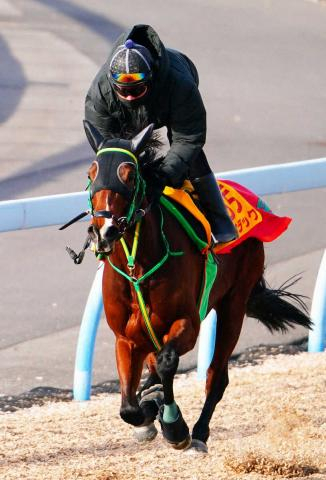 【日経新春杯】ライラック万全“再起動”　Wコース馬なりでグイグイ!ラスト1F11秒2