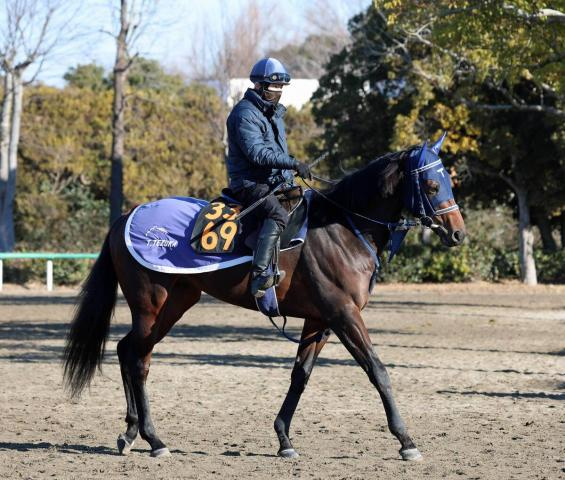 【京成杯】血統馬ソラネルマンは7枠12番　キセキ産駒重賞初挑戦Vへアクセスは8枠15番　枠順決定