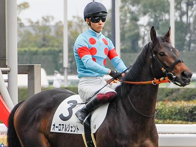 半姉はGI・2勝ショウナンパンドラ オーロアルジェントが初勝利なるか