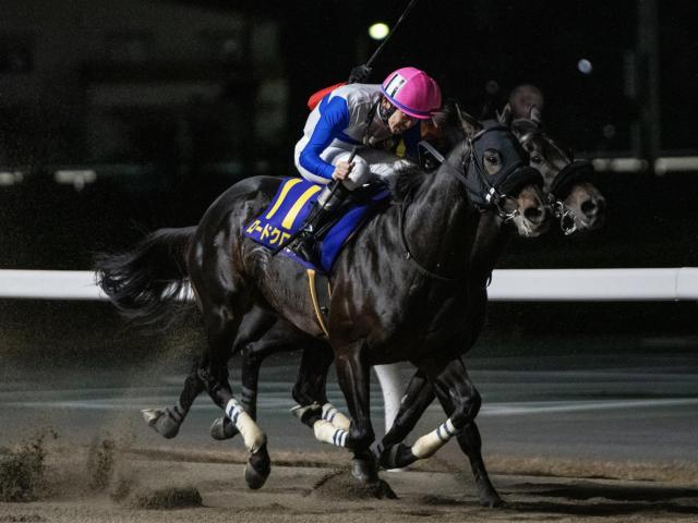 【プロキオンS想定馬・騎手】ロードクロンヌ、ブライアンセンスなど21頭