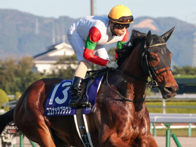 【小倉牝馬S想定馬・騎手】ココナッツブラウン、ジョスランなど18頭