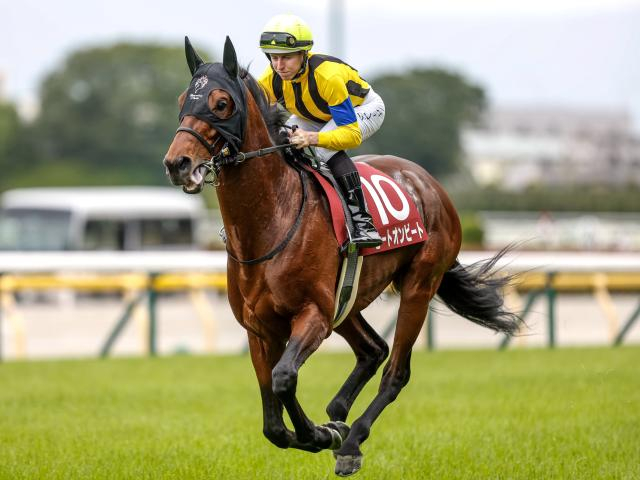 23年目黒記念覇者のヒートオンビートが登録抹消 北海道で乗馬となる予定