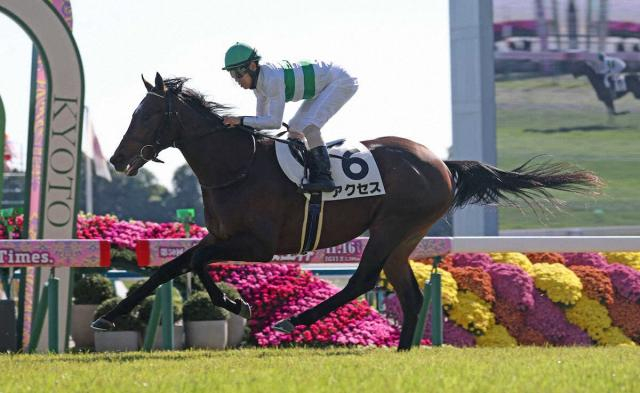 【京成杯】狙いは1戦1勝馬　京都でのパフォーマンスは中山に結びつく