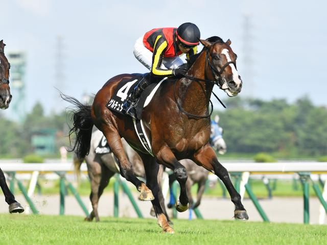 【今日の注目ポイント】中山で京成杯と京都で日経新春杯