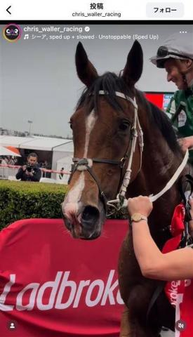 「涙涙涙!」「なかなかお嫁に...」SNSで悲しみの声続出　世界的女傑G1・12勝のヴィアシスティーナが引退