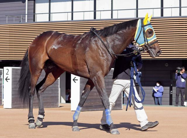 【高知・大高坂賞】「無事カエルに」「まさか」単勝1倍台・圧倒的人気ロードエクレールが着外　オタマジャクシ重賞初V