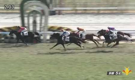 【2歳新馬】ロードスタニング銀行開業