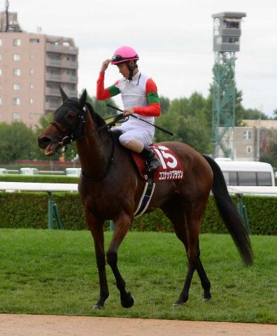 【小倉牝馬S展望】重賞初V狙うココナッツブラウンが中心