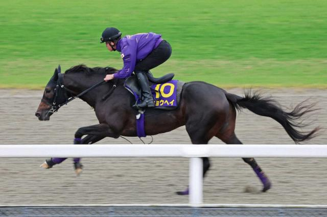 【AJC杯展望】昨年ダービー3着の4歳実力派ショウヘイが主役