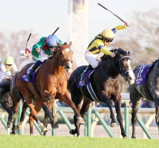 マスカレードボールとフォーエバーヤングが同レーティングで2位　ロンジンワールドレースホースランキング