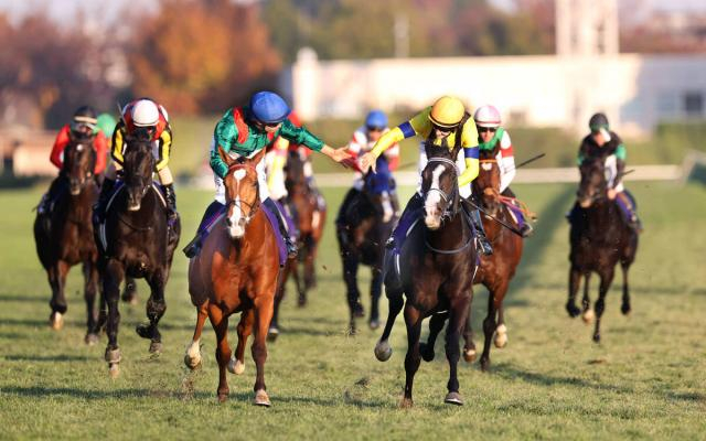 ロンジンワールドレースホースランキング世界一はカランダガン　フォーエバーヤング&マスカレードボールは2位タイ