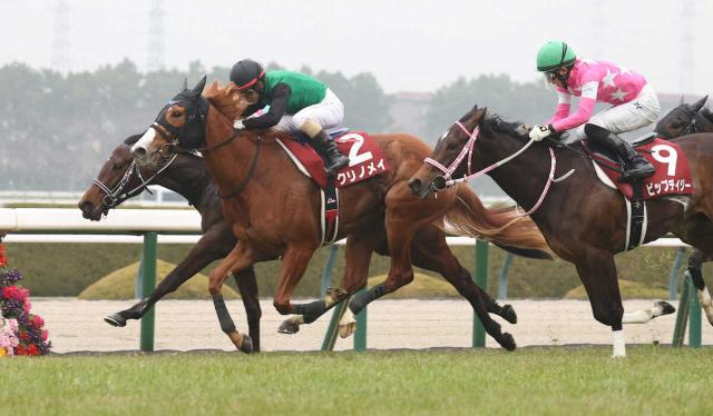 【小倉牝馬S】クリノメイ、火曜追いしっかり反応　北村助手も合格点