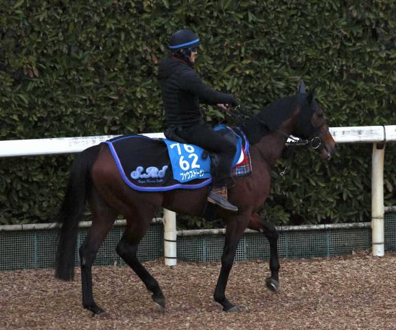 【AJC杯】ファウストラーゼン　中山替わり歓迎　転厩初戦も山田助手「仕上がりいい」