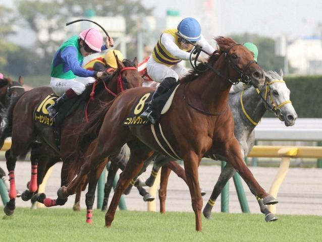 【AJC杯】ニシノレヴナント　大先輩ダイワメジャーにささぐ重賞初Vを