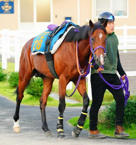 【AJC杯】ディマイザキッド、重賞初Vへ末脚発揮　中山は好相性